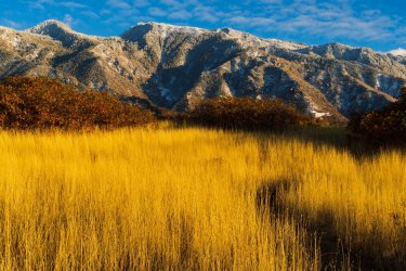 RCM08455-2022 Wanderings 2022-221024-60.jpg