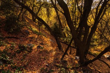 RCM08523-2022 Wanderings 2022-221030-27.jpg