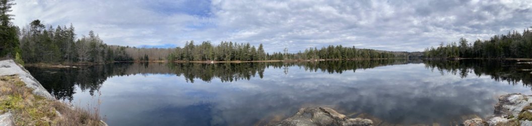 1667254981449.jpeg 1667254981449.jpeg