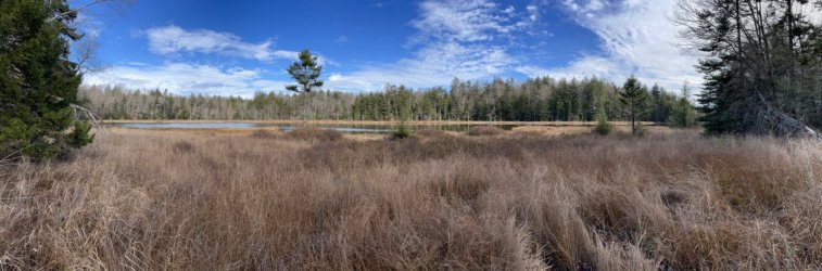 1667255115987.jpeg 1667255115987.jpeg