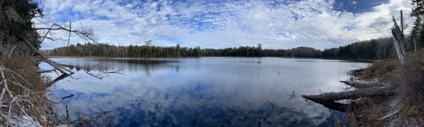 1667255187803.jpeg 1667255187803.jpeg