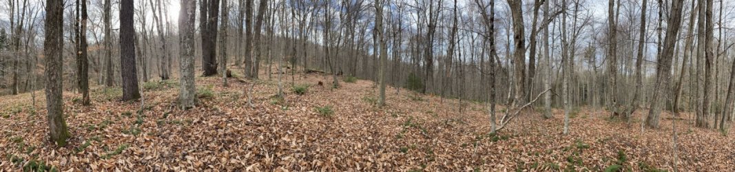 1667255313845.jpeg 1667255313845.jpeg