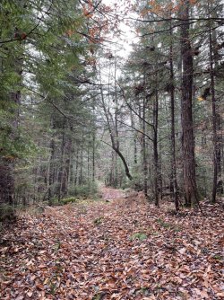 1667255987257.jpeg 1667255987257.jpeg