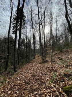 1667256157151.jpeg 1667256157151.jpeg