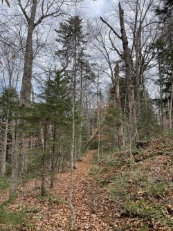 1667256206210.jpeg 1667256206210.jpeg