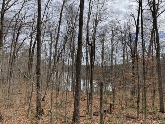 1667256258625.jpeg 1667256258625.jpeg