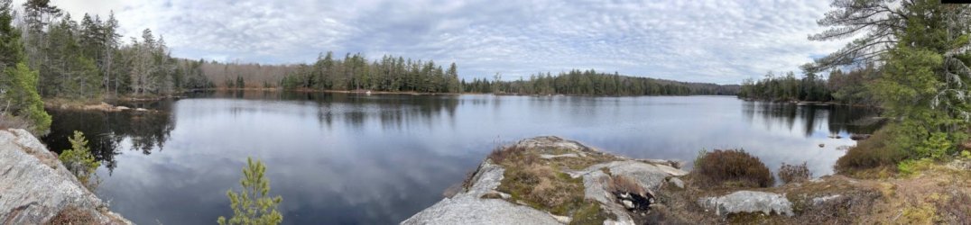 1667256376027.jpeg 1667256376027.jpeg