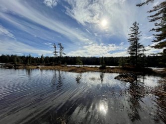 1667256548431.jpeg 1667256548431.jpeg