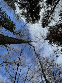 1667256586372.jpeg 1667256586372.jpeg