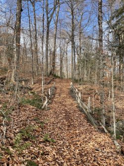 1667256643126.jpeg 1667256643126.jpeg