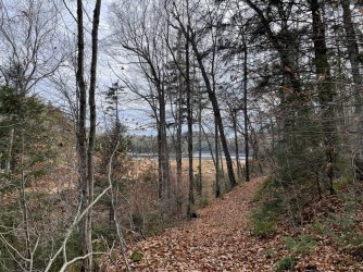 1667256709473.jpeg 1667256709473.jpeg