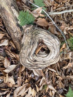 1667256763494.jpeg 1667256763494.jpeg