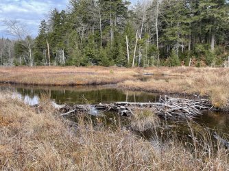 1667256995880.jpeg 1667256995880.jpeg