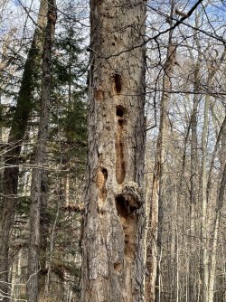 1667257226593.jpeg 1667257226593.jpeg