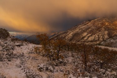 RCM08580-2022 Wanderings 2022-221103-12.jpg