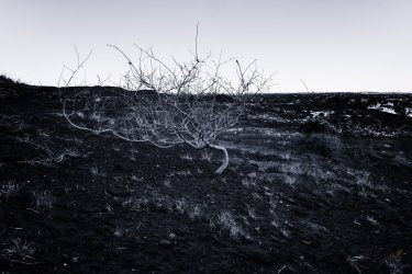 RCM08995-South of the Crack 11-2022-221125-42.jpg