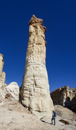 1F00F135-4E26-4F7A-A529-3910EC8DFB69.jpeg 1F00F135-4E26-4F7A-A529-3910EC8DFB69.jpeg