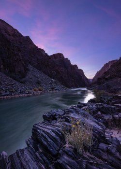 _19A5492.jpg _19A5492.jpg