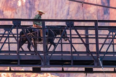 _MG_0039.jpg _MG_0039.jpg