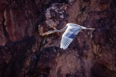 _MG_0544.jpg _MG_0544.jpg