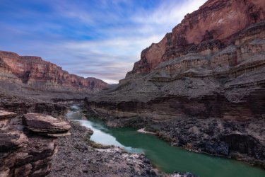 _19A5575.jpg _19A5575.jpg