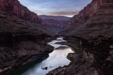 _19A5595.jpg _19A5595.jpg