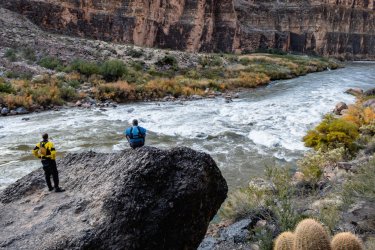 IMG_0651.jpg IMG_0651.jpg