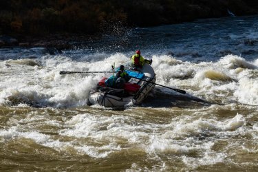 IMG_0737.jpg IMG_0737.jpg