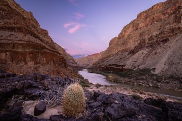 _19A5690.jpg _19A5690.jpg