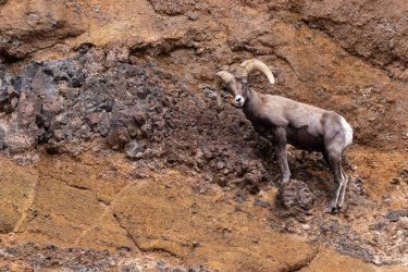 _MG_0670.jpg _MG_0670.jpg