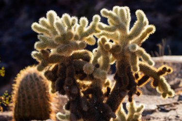 _MG_0712.jpg _MG_0712.jpg