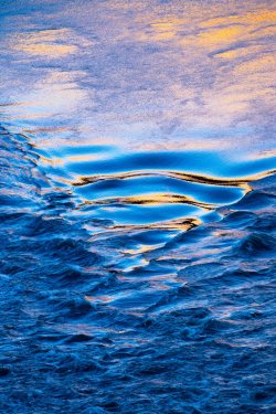 _MG_0727.jpg _MG_0727.jpg