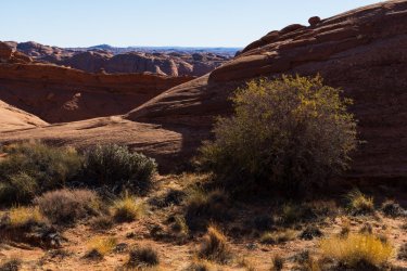 RCM08823-South of the Crack 11-2022-221125-36.jpg