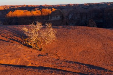 RCM09186-South of the Crack 11-2022-221126-54.jpg