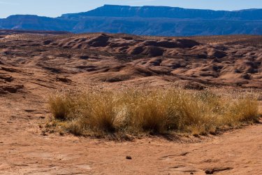 RCM09314-South of the Crack 11-2022-221126-73.jpg