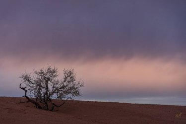 RCM09378-South of the Crack 11-2022-221126-9.jpg