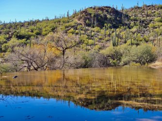 4BDE14A6-7C9A-4CB3-9A04-F295AAA28AE5.jpeg 4BDE14A6-7C9A-4CB3-9A04-F295AAA28AE5.jpeg