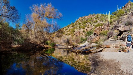 58C2D77C-A458-4DC9-8308-1894E5A04266.jpeg 58C2D77C-A458-4DC9-8308-1894E5A04266.jpeg