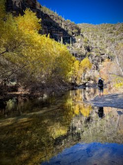 6758BD76-429B-45DC-92F5-E98BD1A42F01.jpeg 6758BD76-429B-45DC-92F5-E98BD1A42F01.jpeg