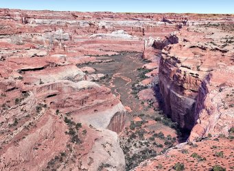 Trail Fork of Horse Canyon.jpg