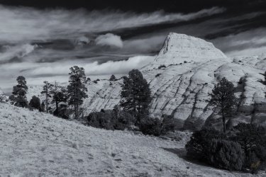 RCM00015-2022 Wanderings 2022-221230-154.jpg