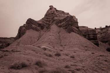 RCM09599-2022 Wanderings 2022-221229-47.jpg