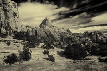 RCM09953-2022 Wanderings 2022-221230-109.jpg