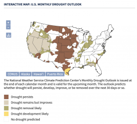 Screen Shot 2023-01-06 at 10.28.45 AM.png