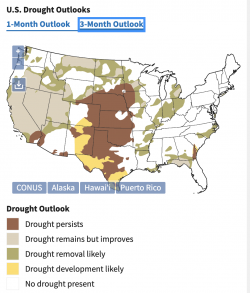 Screen Shot 2023-01-06 at 10.29.18 AM.png