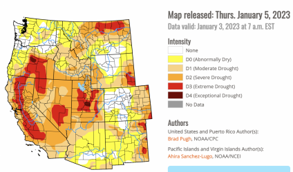 Screen Shot 2023-01-06 at 10.37.00 AM.png