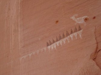 IMG_6693 [1024x768].JPG