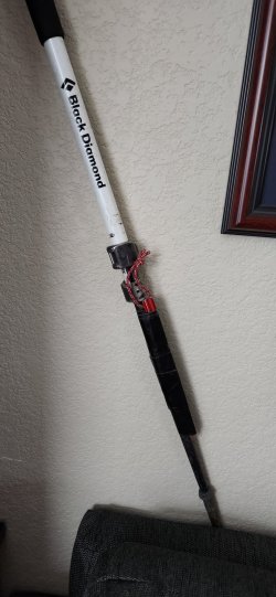 EDIT_20230111_115907.jpg EDIT_20230111_115907.jpg