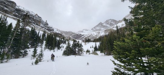 20230114_144634.jpg 20230114_144634.jpg