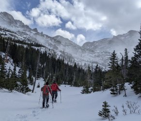 PXL_20230114_210507734.MP.jpg PXL_20230114_210507734.MP.jpg